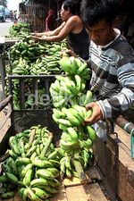 Ramadan, Pedagang Pisang Uli Kebanjiran Rezeki