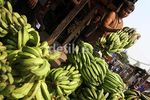 Ramadan, Pedagang Pisang Uli Kebanjiran Rezeki