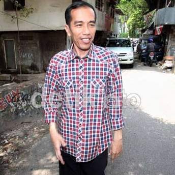 Jokowi Merasa Bak Dikeroyok Gajah: Ya Gimana Lagi, Dihadapi Sajalah