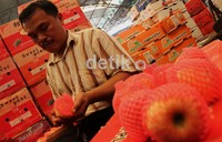 Pedagang mensortir buah apel asal China.