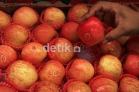 Beberapa jenis buah import yang terus diburu masyarakat antara lain jeruk mandarin, jeruk sunkis, apel fuji, pir pakam dan anggur China.