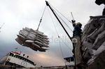 Aktivitas Bongkar Muat di Sunda Kelapa