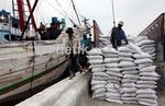Aktivitas Bongkar Muat di Sunda Kelapa
