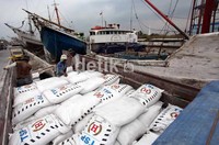 Tumpukan barang yang masuk kedalam lambung kapal disusun dengan rapih agar mencukupi kuota kebutuhan barang yang akan dikirim ke daerah tujuan masing-masing