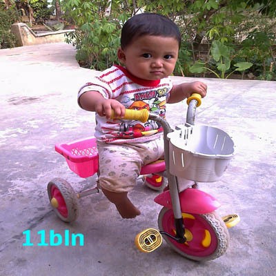Nawwaf Tsaqib Budaintoro, 11 Bulan, Lelaki