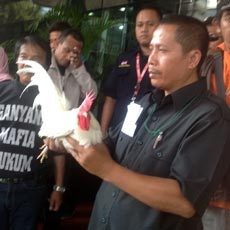 Biar Makin Berani, KPK Diberi Ayam Jantan