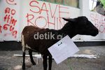 Kambing & Darah Dibawa ke Kedubes Myanmar