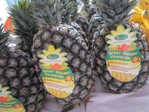 Sunpride Perkenalkan Nanas HONI, Nanas Unggulan Produk Lokal