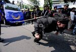 Limbad & Pawai Budaya Meriahkan NasDem