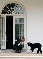 9 Aksi Paling Alamiah dari Presiden Obama
