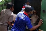 Jasa Pengiriman Sepeda Motor Meningkat