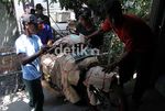 Jasa Pengiriman Sepeda Motor Meningkat