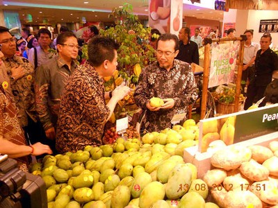 Mencicipi Nanas Parit dan Mangga Arumanis dari Blora