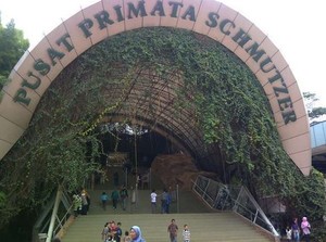 Jelang Libur Lebaran, Bonbin Ragunan Pasang Kuda-kuda