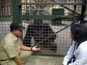 Pengunjung Bonbin Ragunan Bakal Membludak H+3 Lebaran