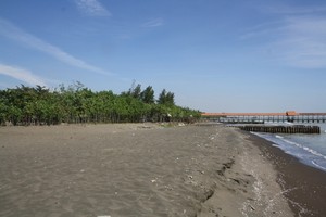 Inilah Pantai Berpasir Hitam Paling Halus di Tegal