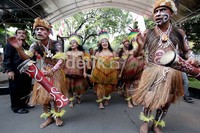 Para penari menggelar Tari Mambri, tarian selamat datang khas Papua.