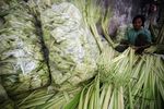 Penjual Ketupat Lebaran Memanen Rezeki