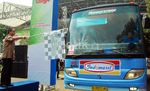 6.000 Warga Mudik Gratis Bareng Indomaret