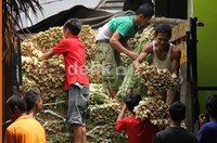 Pekerja menurunkan bunga sedap malam dari truk