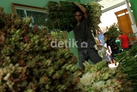 Bunga sedap malam dan gradiul dicari masyarakat sebagai hiasan ruangan ketika lebaran.