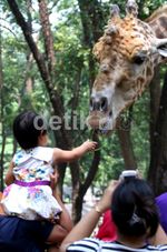 Libur Hari Raya, Ragunan Dipadati Pengunjung