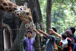 Libur Hari Raya, Ragunan Dipadati Pengunjung