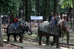 Libur Hari Raya, Ragunan Dipadati Pengunjung