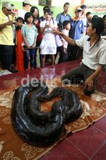 Libur Hari Raya, Ragunan Dipadati Pengunjung