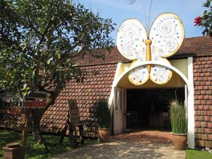 Digoda Kupu-kupu di Bandung