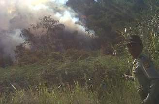 Tukang Ojek Ikut Bantu Padamkan Api di Gunung Papandayan