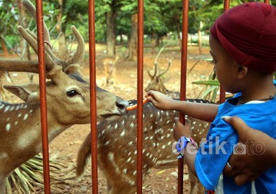 Wisata Murah di TMP Kalibata
