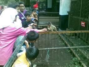 Ribuan Warga Padati Kebon Binatang Bandung