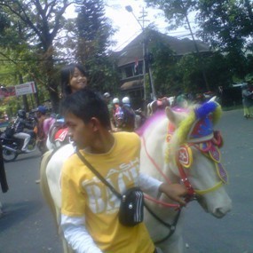 Penyedia Jasa Sewa Kuda Raup Untung saat Libur Lebaran