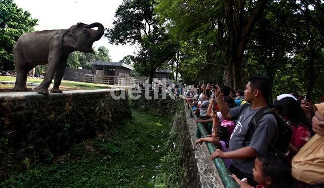 Ragunan Ramai Pengunjung, 14 Anak Terpisah Dari Orang Tuanya