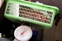 Pakaian kotor ditimbang terlebih dahulu sebelum dimasukan ke mesin cuci.