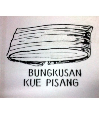 Inilah 12 Bentuk Bungkus Daun Pisang Asli Indonesia (1)