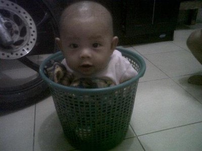 Rafa Febrian, 6 Bulan, Lelaki