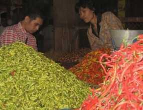 Pasca Lebaran Harga Sayuran Masih Tinggi