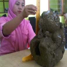 BP3 Trowulan Desak Pemkab Malang Bangun Museum