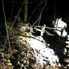 Pesawat Piper Navajo Hancur dan Terbakar Akibat Tabrak Bukit