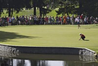 Lydia Ko dalam sebuah persiapan sebelum memukul. Kemenangan ini menjadi kemenangan kedua setelah Januari lalu juga menjuarai kejuaraan profesional. Ia menjadi pegolf termuda yang meraih kemenangan profesional pada usia 14 tahun (Januari 2012). Sebelumnya, pegolf termuda dipegang oleh pegolf Jepang Ryo Ishikawa. (REUTERS/Andy Clark)