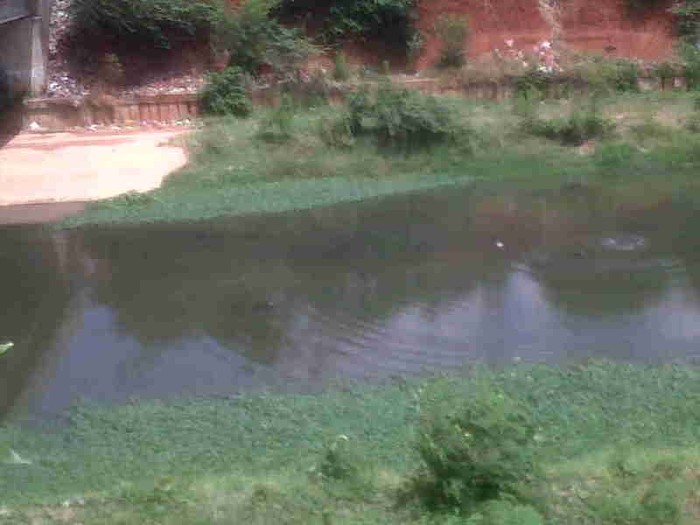 Masih Banyak yang Penasaran dengan Isu Buaya di BKT, Tapi Kecele