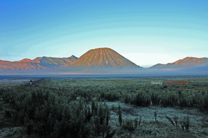 bromo