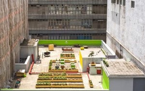 Hong Kong Punya Agrowisata di Atap Gedung Tinggi