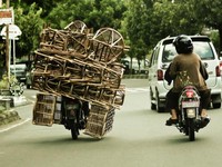 Foto ini diambil di Kota Klaten dimana seorang pengendara motor dengan membawa keranjang yang melebihi kapasitas. Foto Dili Handriya.