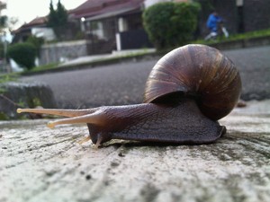 Berjemur di Minggu pagi