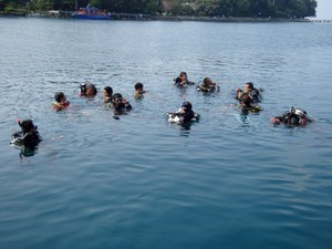 Siapa Sangka, Jakarta Punya Alam Bawah Laut nan Cantik