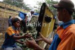 Usai Lebaran, Harga Blewah Turun