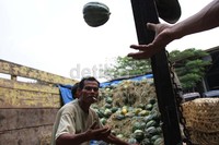 Usai lebaran harga buah blewah mengalami penurunan dari Rp 5.000 per kilogram menjadi Rp 2.000 per kilogram.
